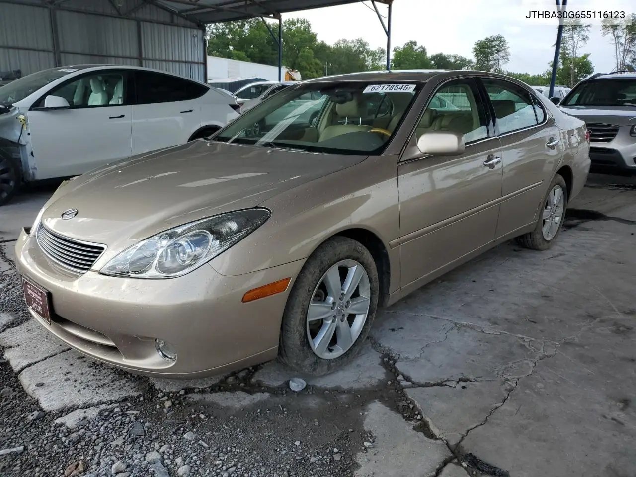2005 Lexus Es 330 VIN: JTHBA30G655116123 Lot: 62178545