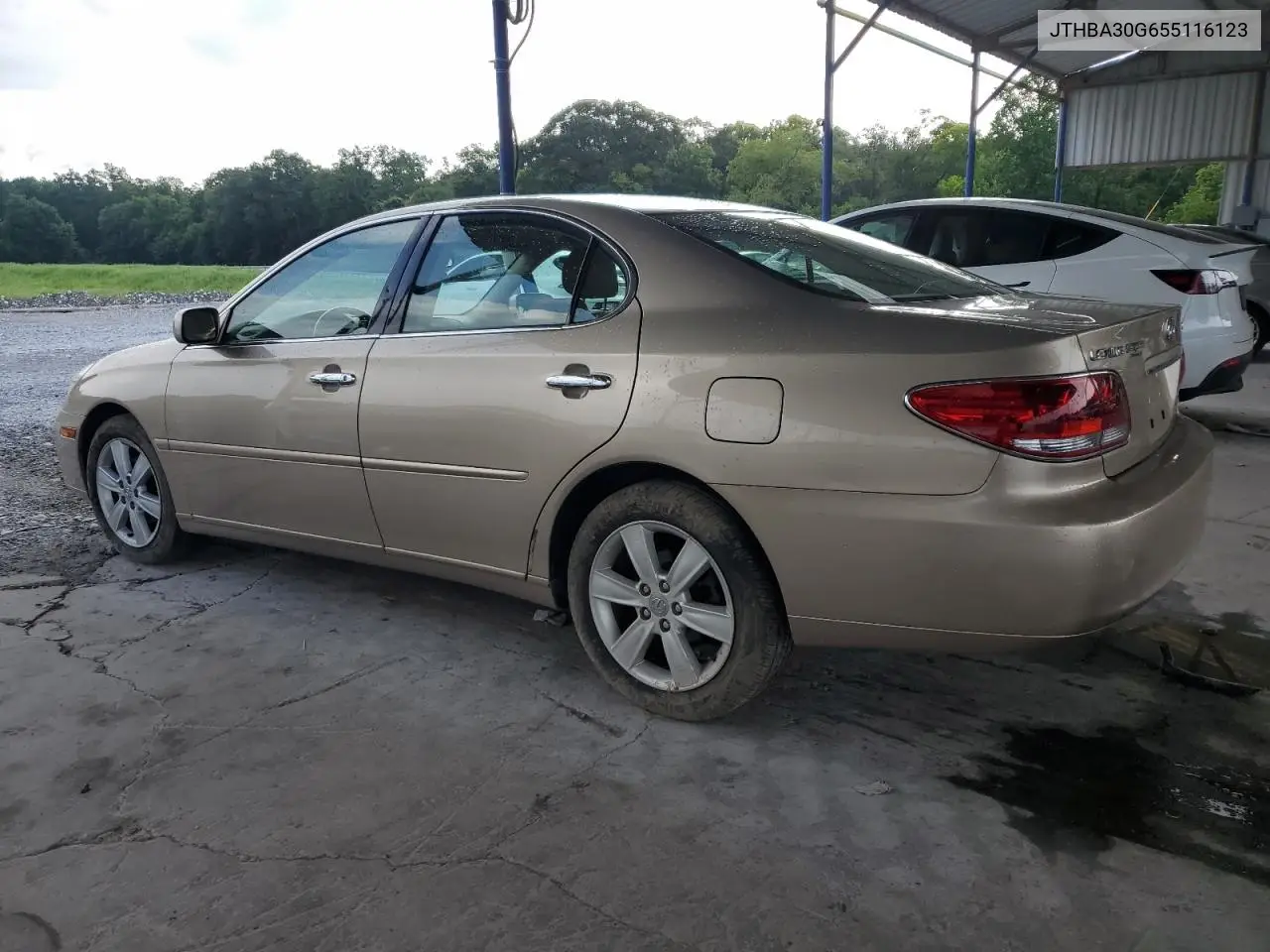 2005 Lexus Es 330 VIN: JTHBA30G655116123 Lot: 62178545