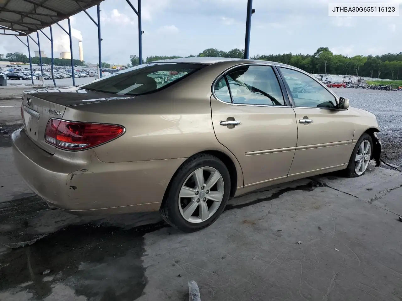 2005 Lexus Es 330 VIN: JTHBA30G655116123 Lot: 62178545