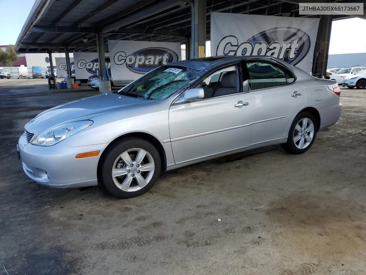 2006 Lexus Es 330 VIN: JTHBA30GX65173667 Lot: 56670515