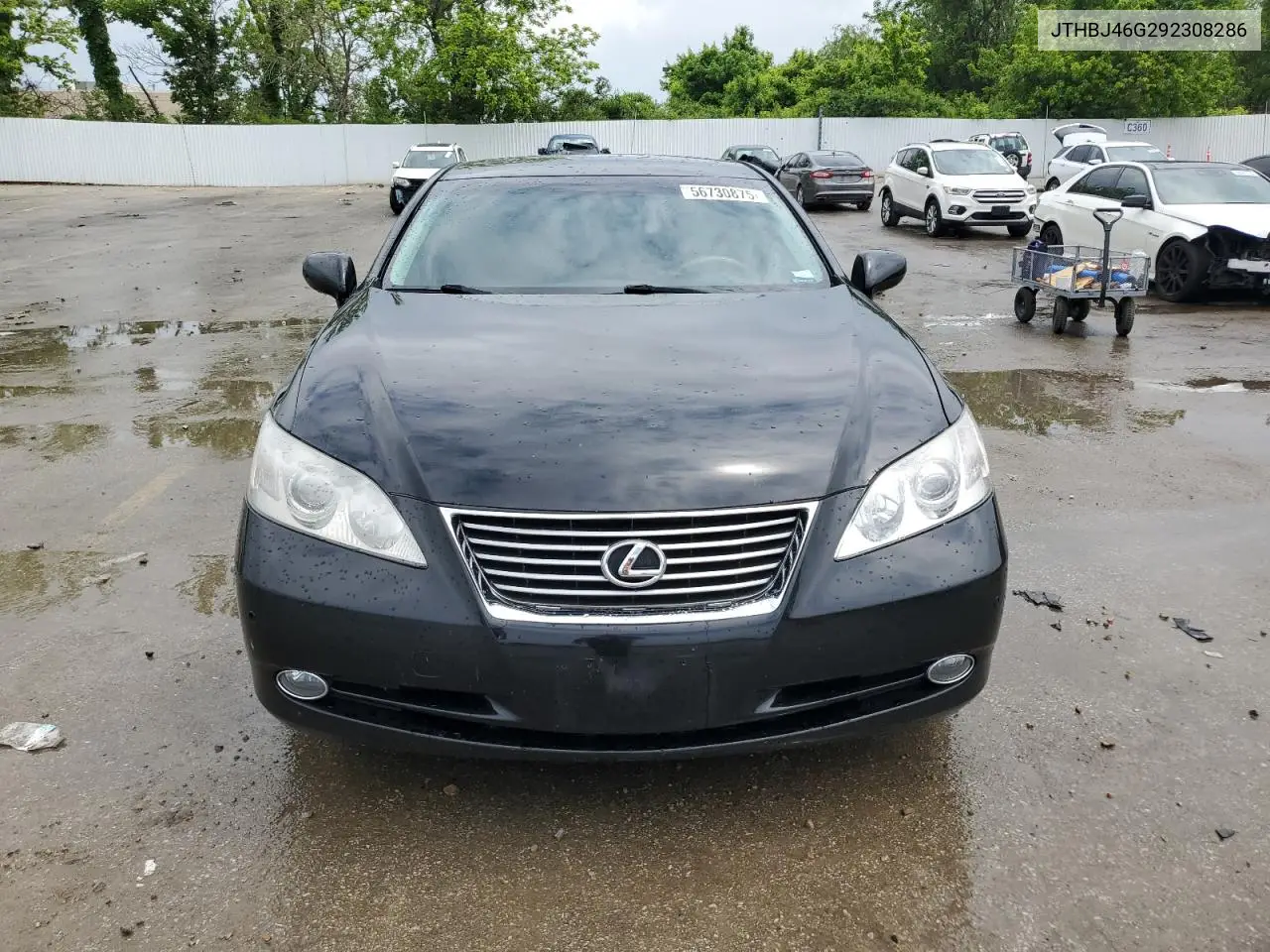 2009 Lexus Es 350 VIN: JTHBJ46G292308286 Lot: 56730875