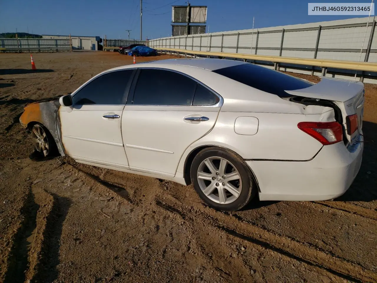 2009 Lexus Es 350 VIN: JTHBJ46G592313465 Lot: 59911205
