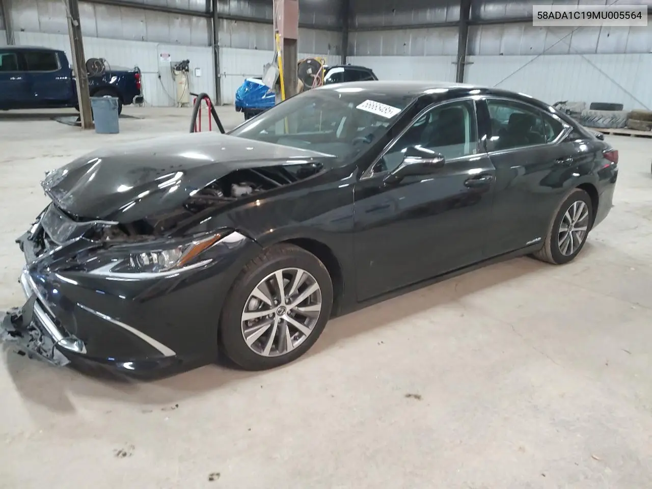 2021 Lexus Es 300H VIN: 58ADA1C19MU005564 Lot: 56665485