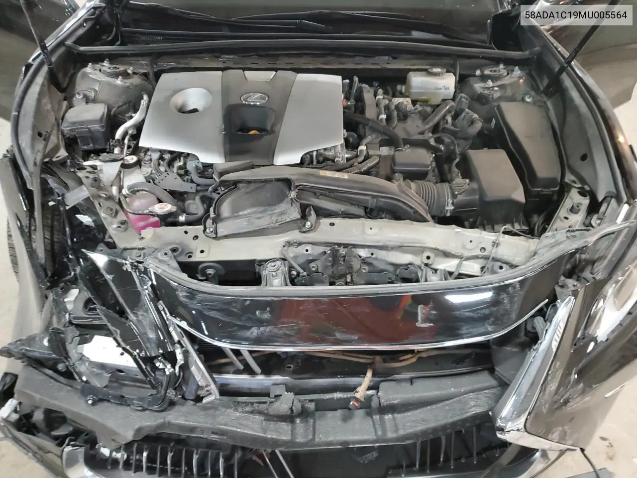 2021 Lexus Es 300H VIN: 58ADA1C19MU005564 Lot: 56665485