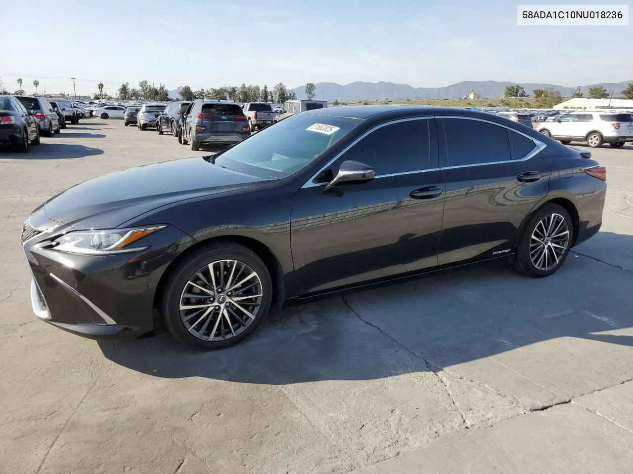 2022 Lexus Es 300H Base VIN: 58ADA1C10NU018236 Lot: 51863805