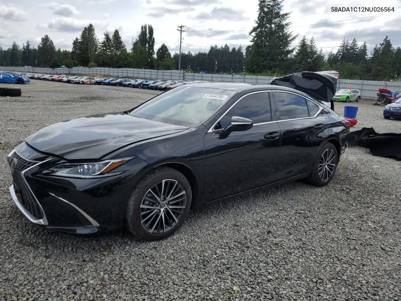 2022 Lexus Es 300H Base VIN: 58ADA1C12NU026564 Lot: 61644795