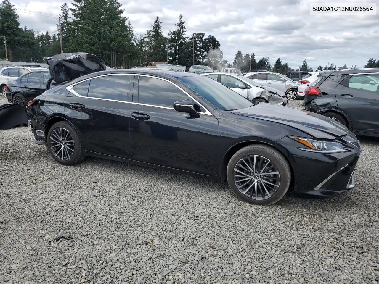 2022 Lexus Es 300H Base VIN: 58ADA1C12NU026564 Lot: 61644795