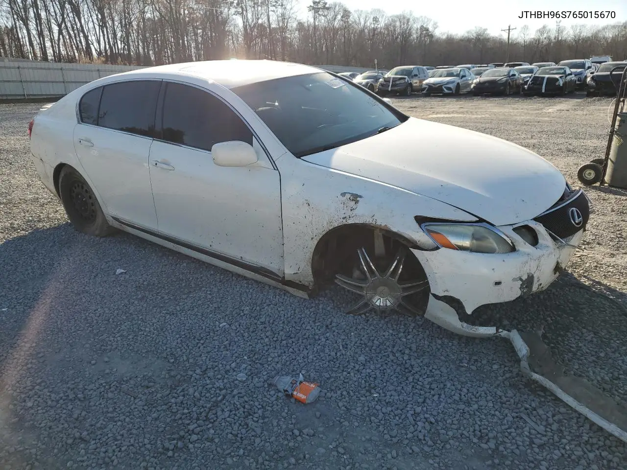 2006 Lexus Gs 300 VIN: JTHBH96S765015670 Lot: 46370485