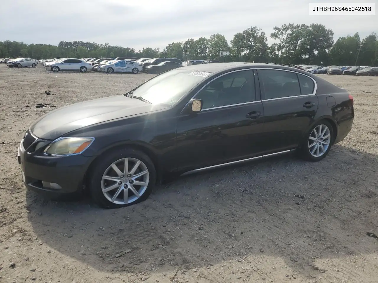 2006 Lexus Gs 300 VIN: JTHBH96S465042518 Lot: 55891495