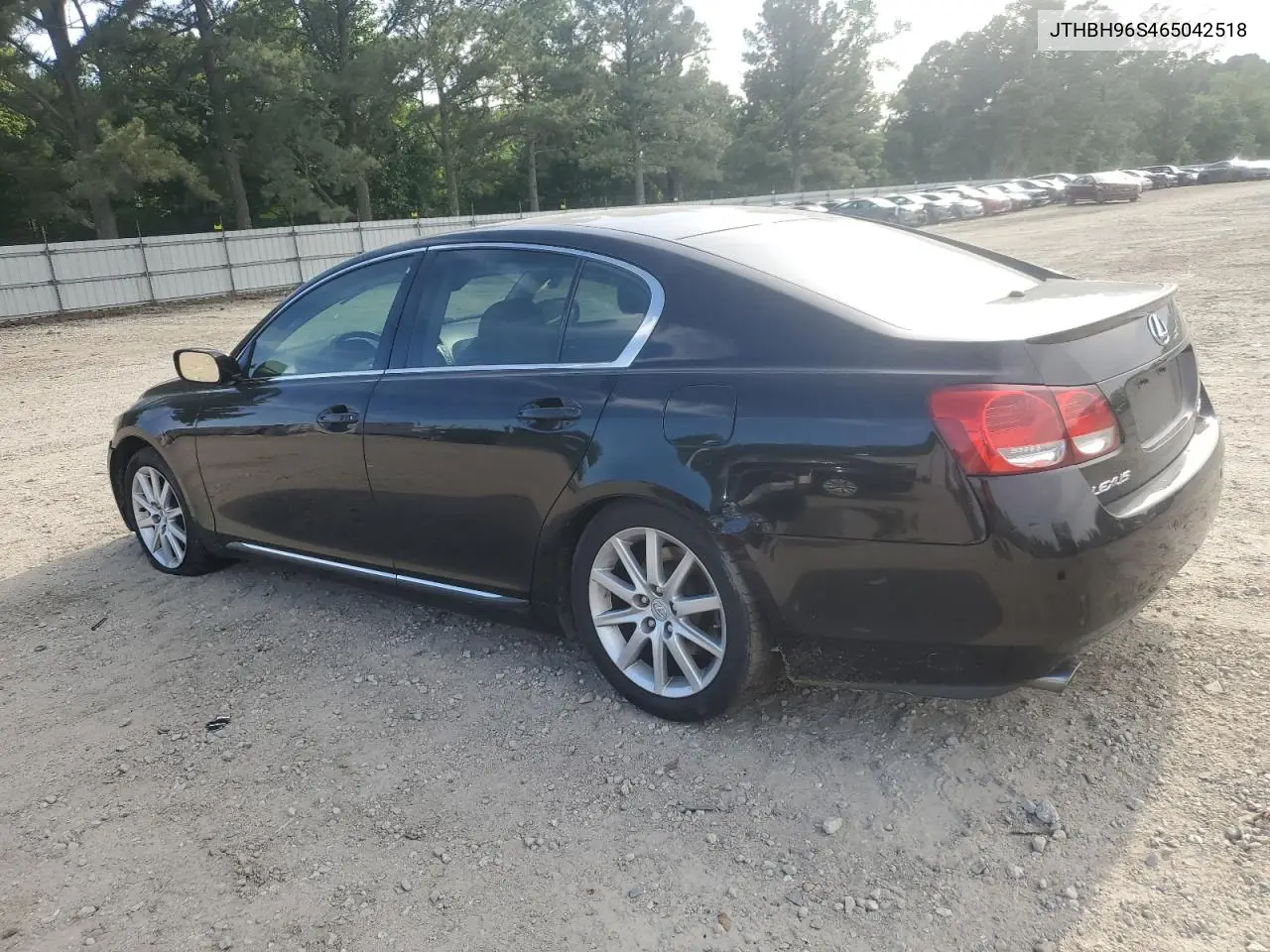 2006 Lexus Gs 300 VIN: JTHBH96S465042518 Lot: 55891495