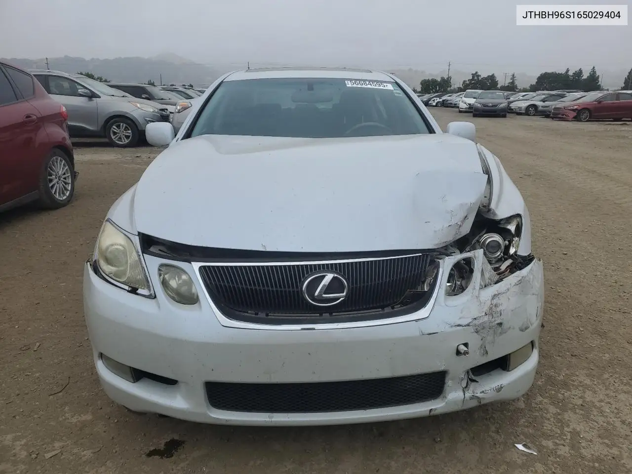 2006 Lexus Gs 300 VIN: JTHBH96S165029404 Lot: 56684595