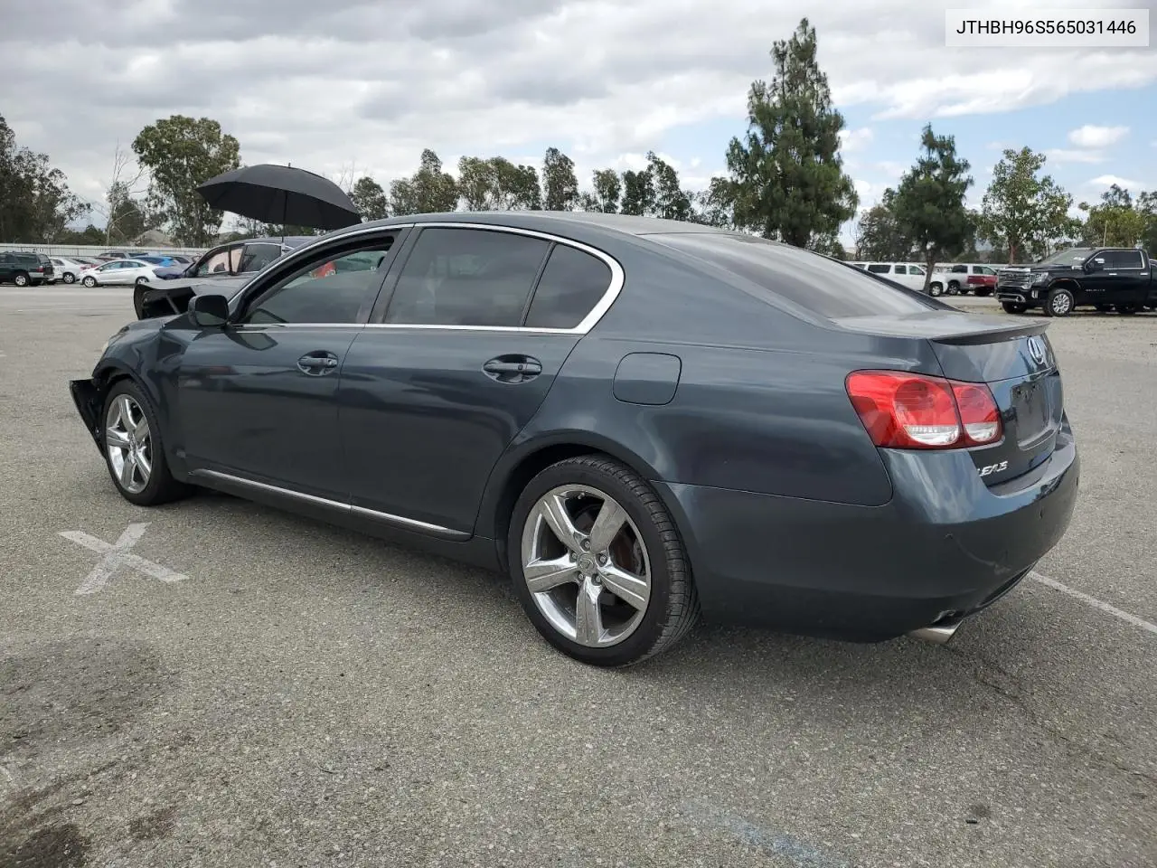 2006 Lexus Gs 300 VIN: JTHBH96S565031446 Lot: 56997845