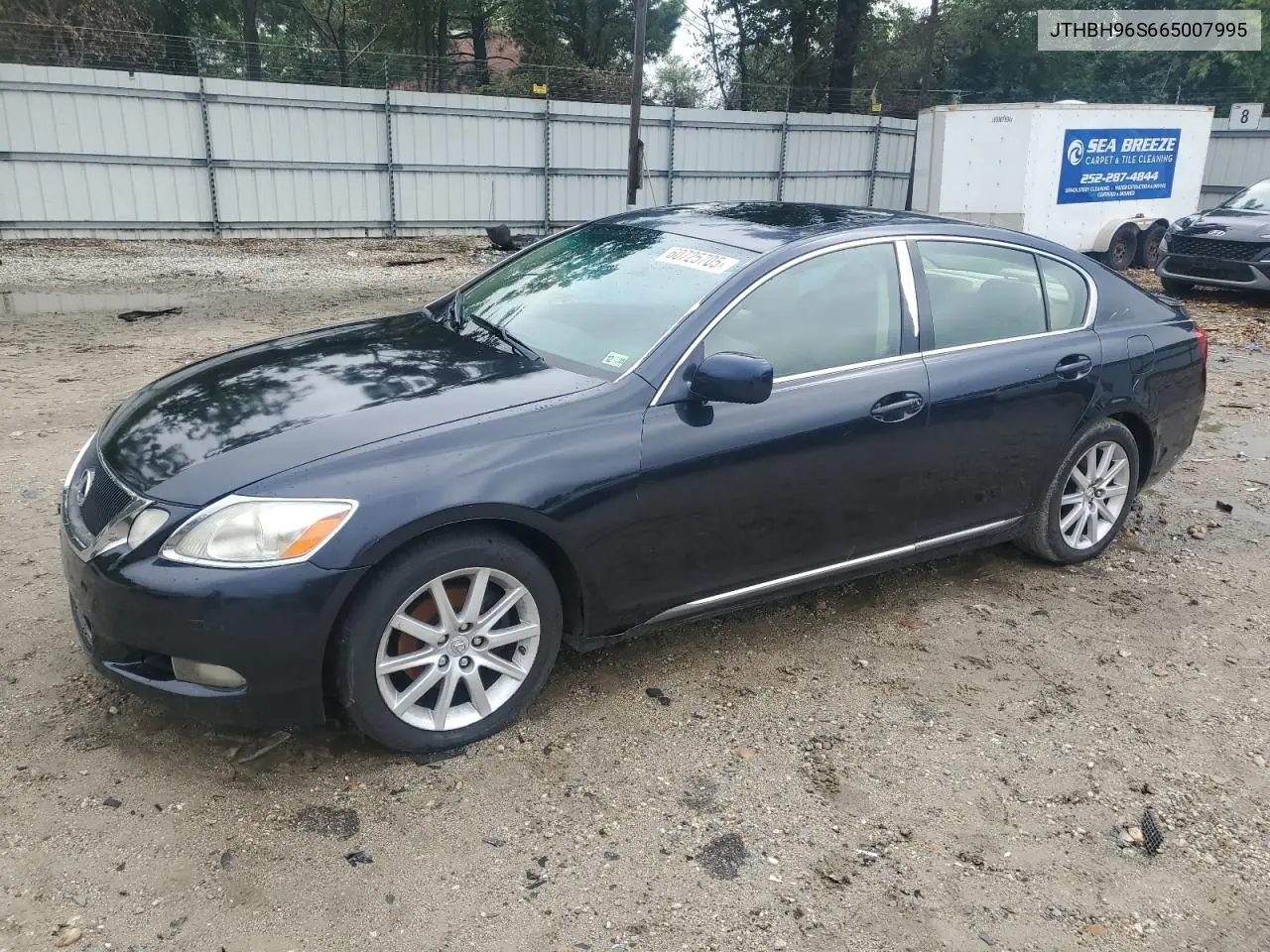 2006 Lexus Gs 300 VIN: JTHBH96S665007995 Lot: 60725705