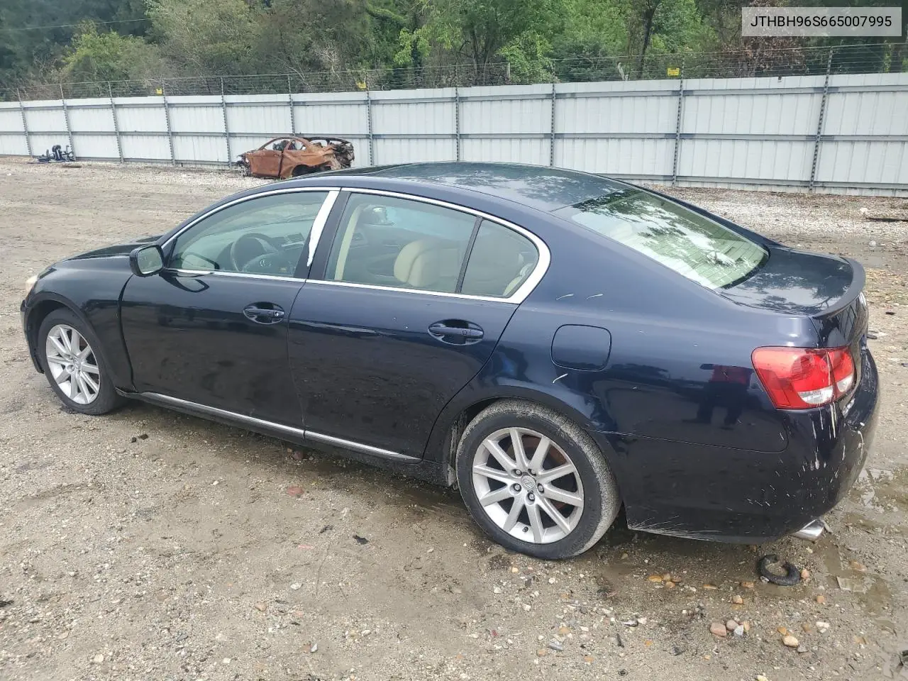 2006 Lexus Gs 300 VIN: JTHBH96S665007995 Lot: 60725705