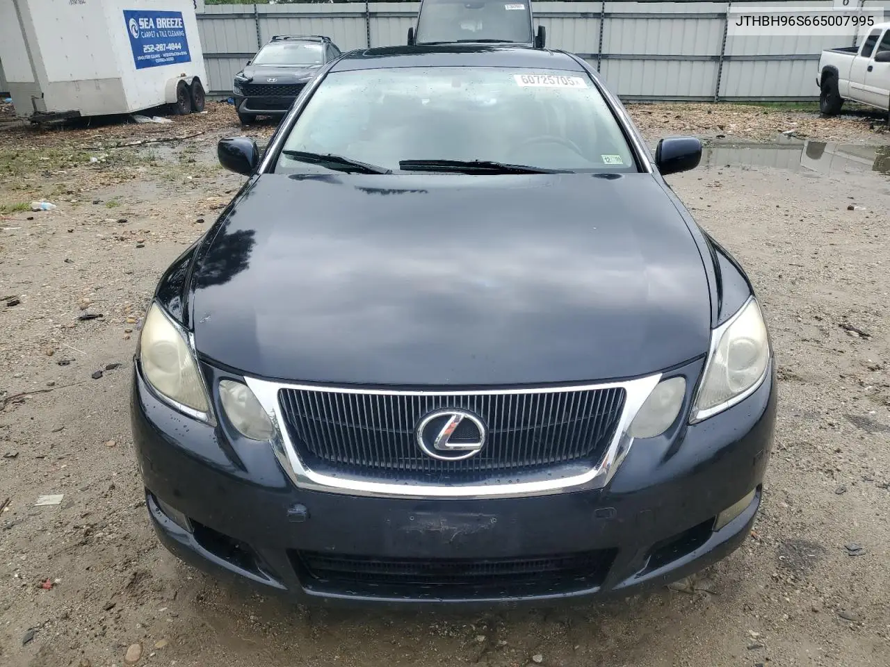 2006 Lexus Gs 300 VIN: JTHBH96S665007995 Lot: 60725705