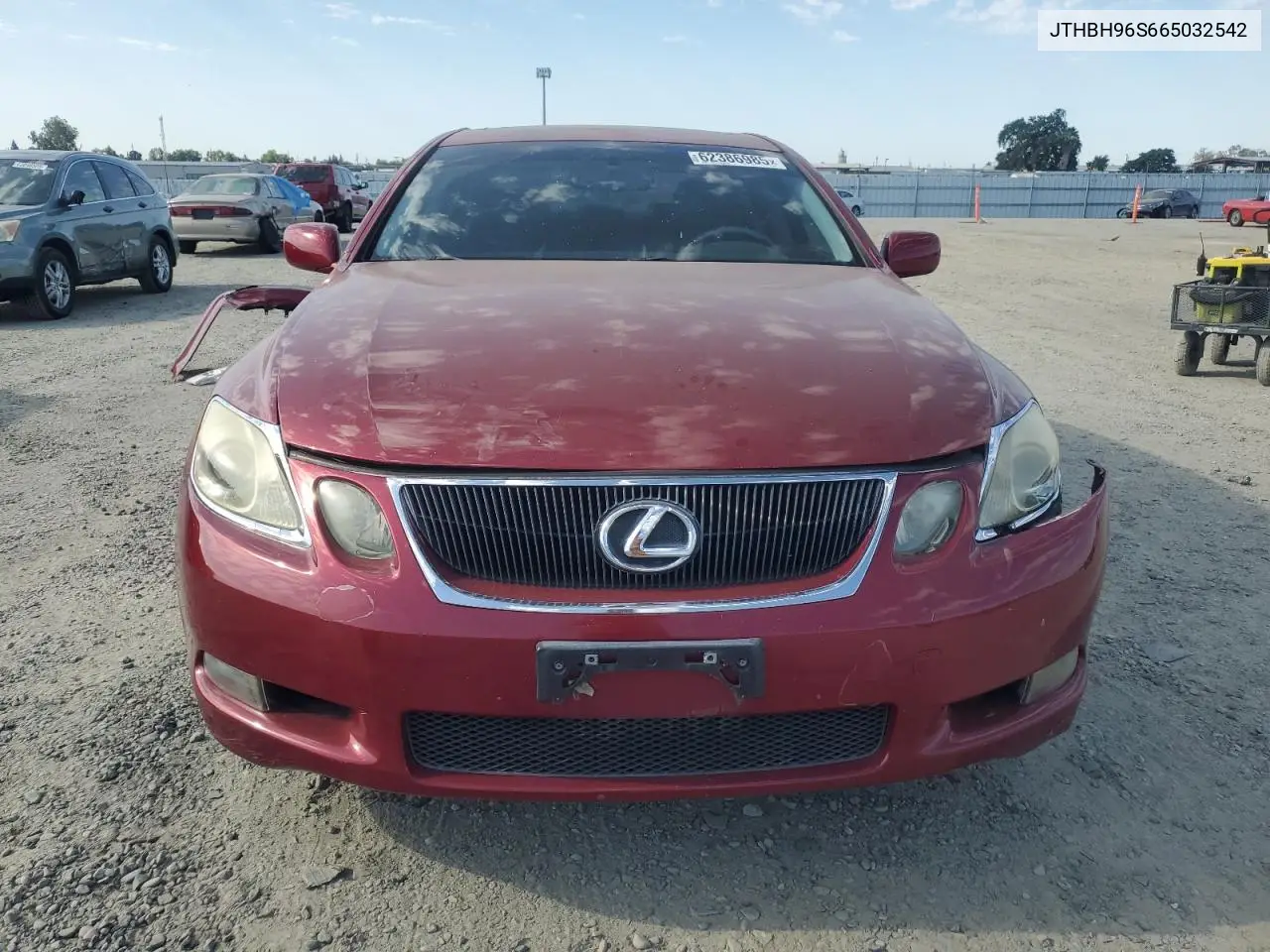 2006 Lexus Gs 300 VIN: JTHBH96S665032542 Lot: 62386985
