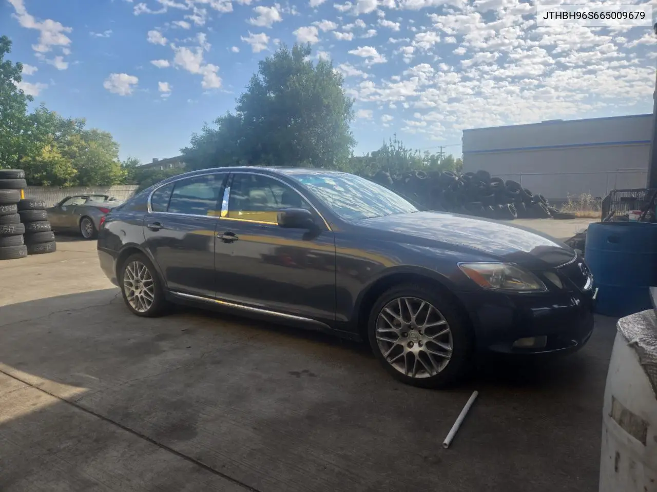 2006 Lexus Gs 300 VIN: JTHBH96S665009679 Lot: 63437755
