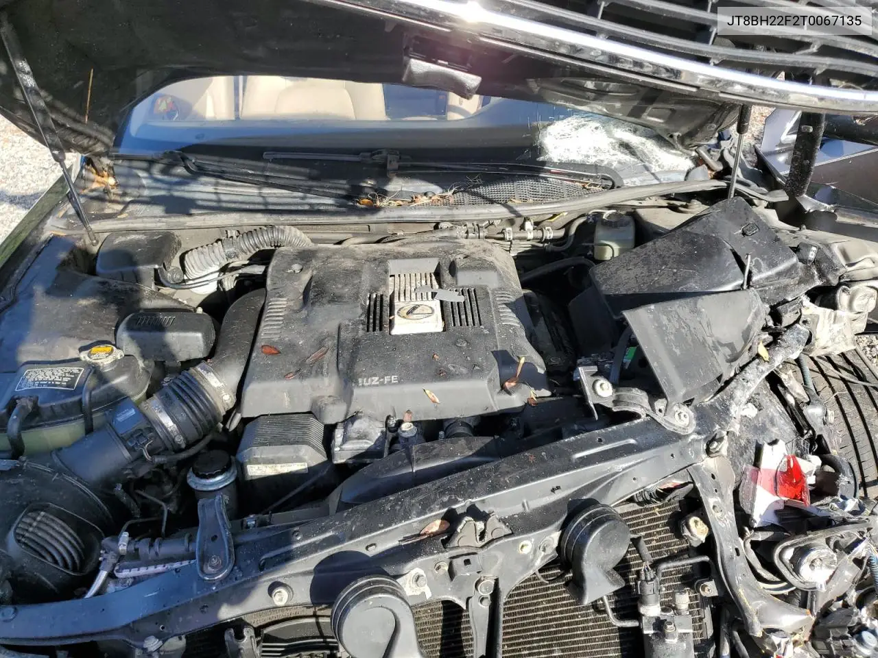 1996 Lexus Ls 400 VIN: JT8BH22F2T0067135 Lot: 55136205