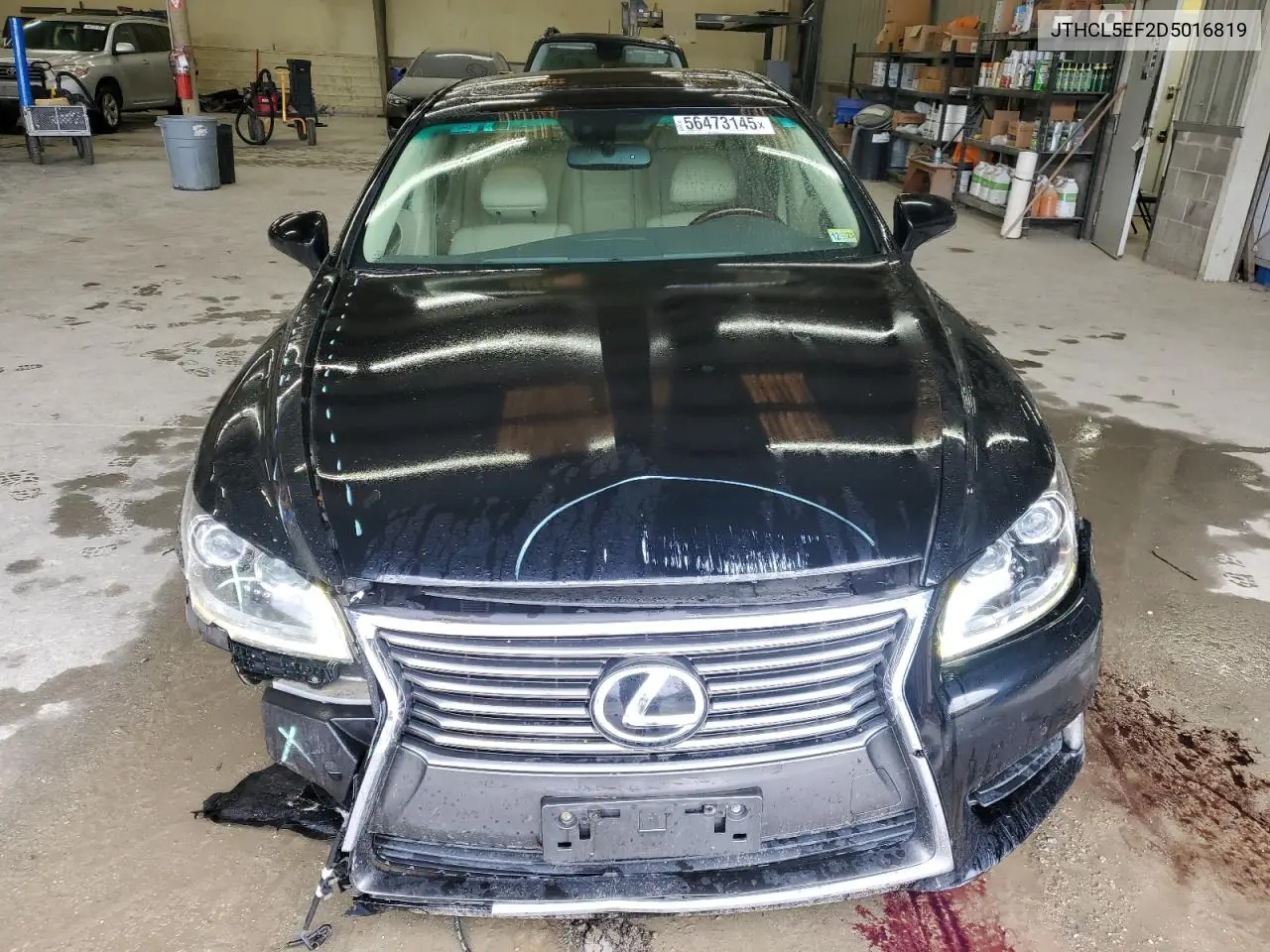 2013 Lexus Ls 460 VIN: JTHCL5EF2D5016819 Lot: 56473145