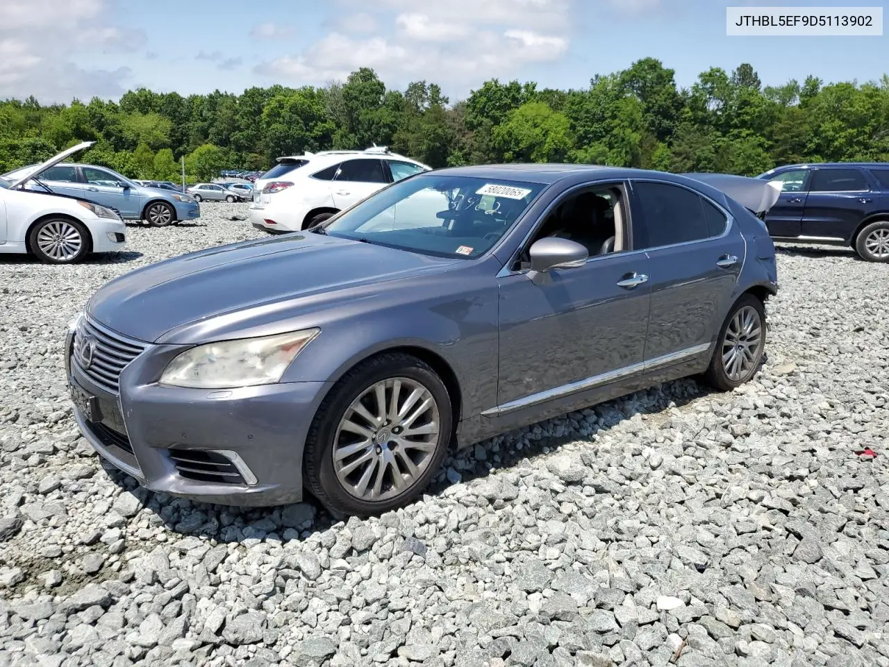 2013 Lexus Ls 460 VIN: JTHBL5EF9D5113902 Lot: 58020065