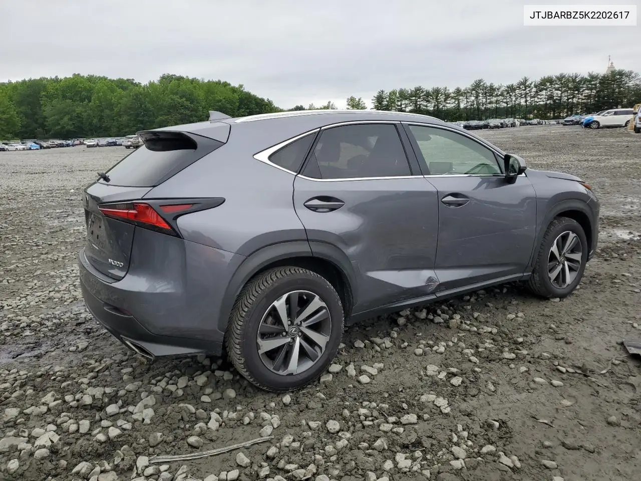 2019 Lexus Nx 300 Base VIN: JTJBARBZ5K2202617 Lot: 61109075