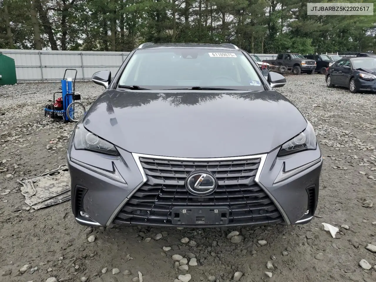 2019 Lexus Nx 300 Base VIN: JTJBARBZ5K2202617 Lot: 61109075