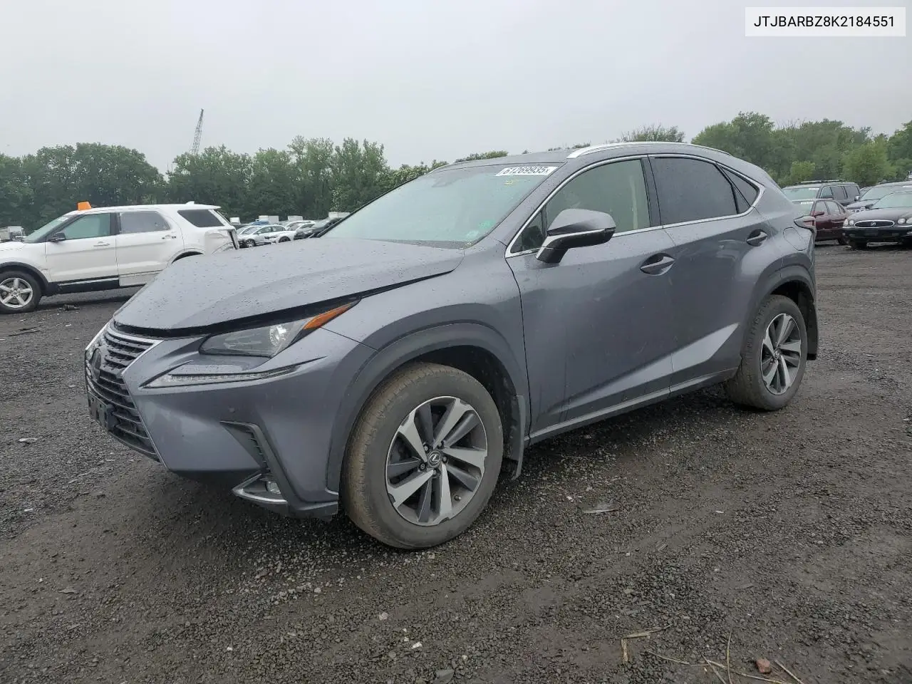 2019 Lexus Nx 300 Base VIN: JTJBARBZ8K2184551 Lot: 61269935