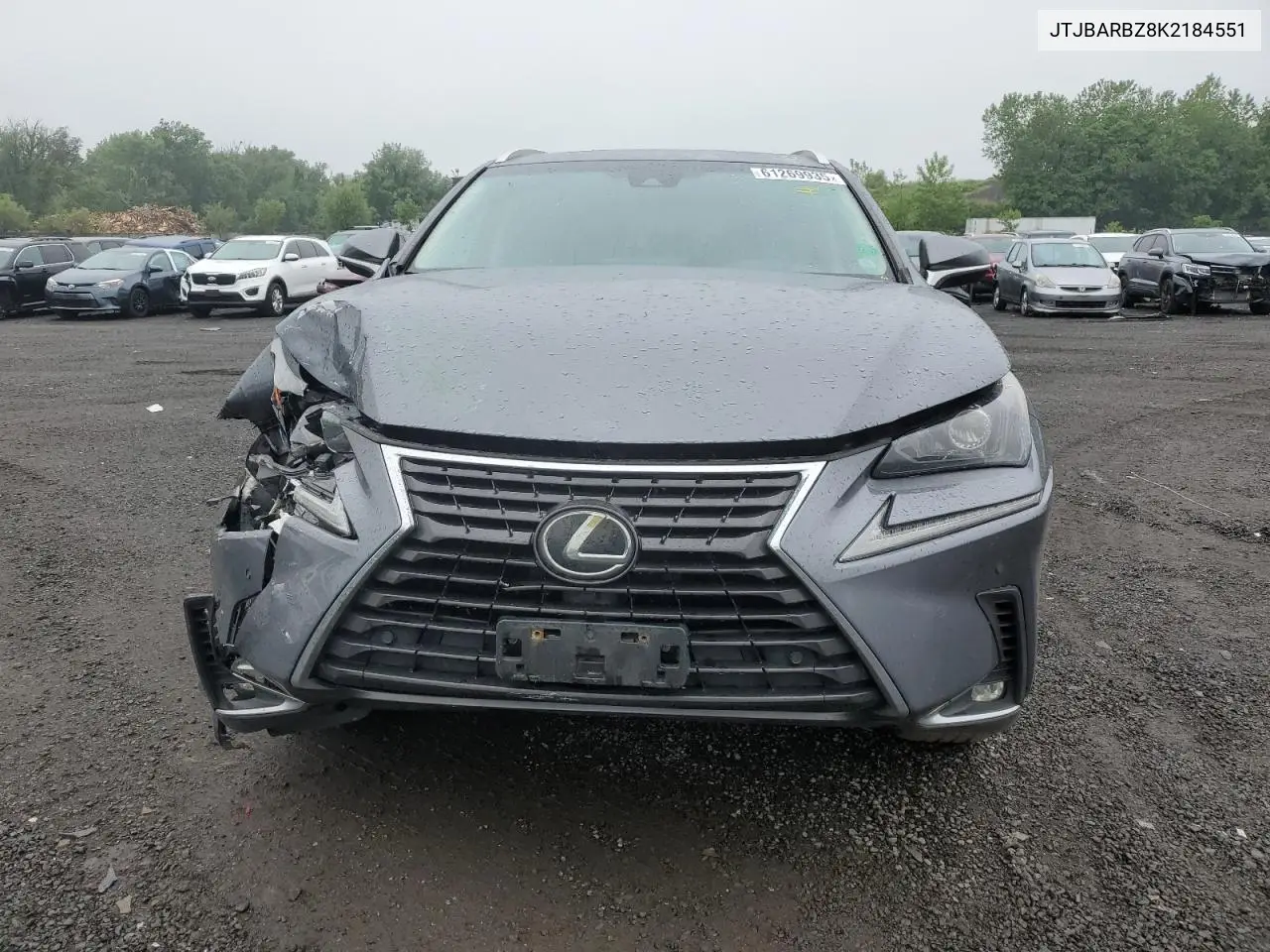 2019 Lexus Nx 300 Base VIN: JTJBARBZ8K2184551 Lot: 61269935