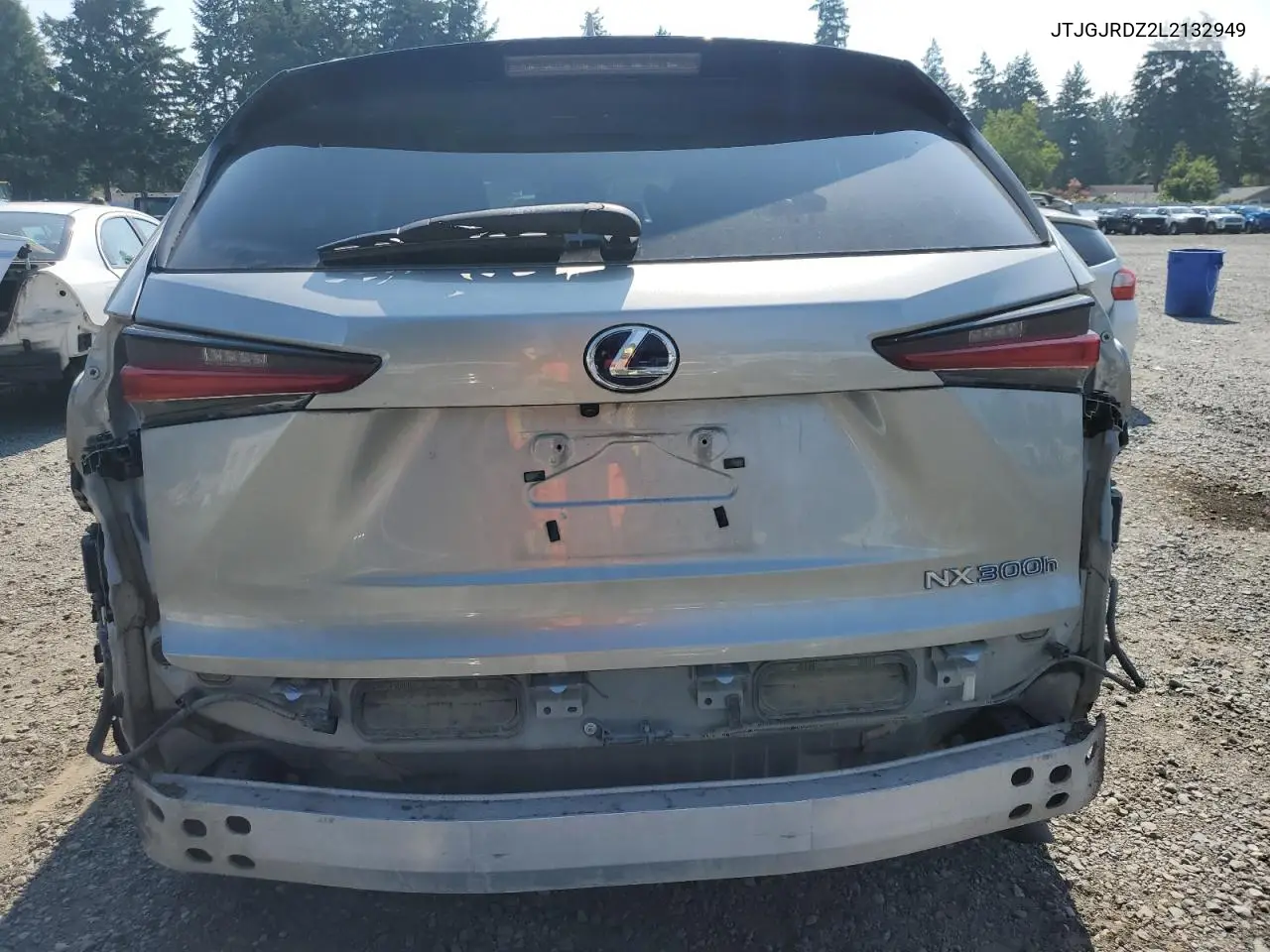 2020 Lexus Nx 300H VIN: JTJGJRDZ2L2132949 Lot: 61498925