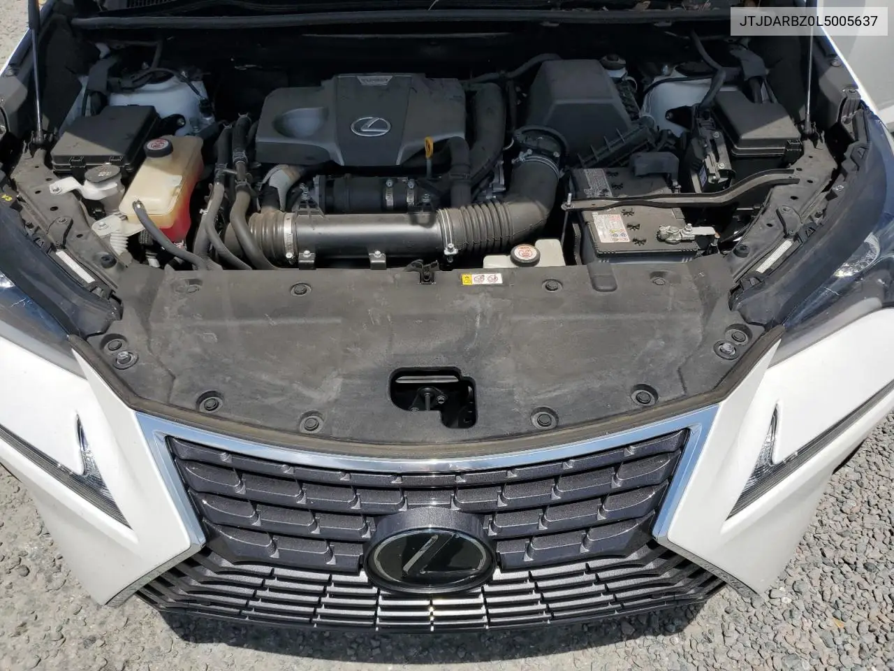2020 Lexus Nx 300 VIN: JTJDARBZ0L5005637 Lot: 62511145