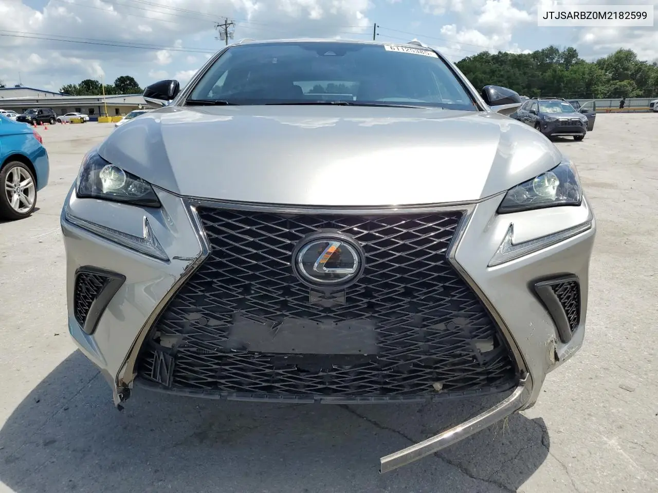 2021 Lexus Nx 300 Base VIN: JTJSARBZ0M2182599 Lot: 61125385