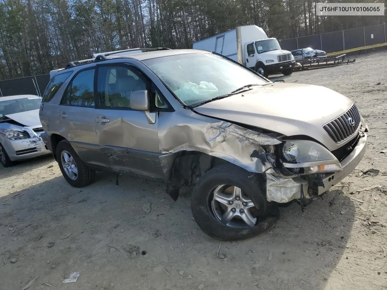 2000 Lexus Rx 300 VIN: JT6HF10U1Y0106065 Lot: 48053525