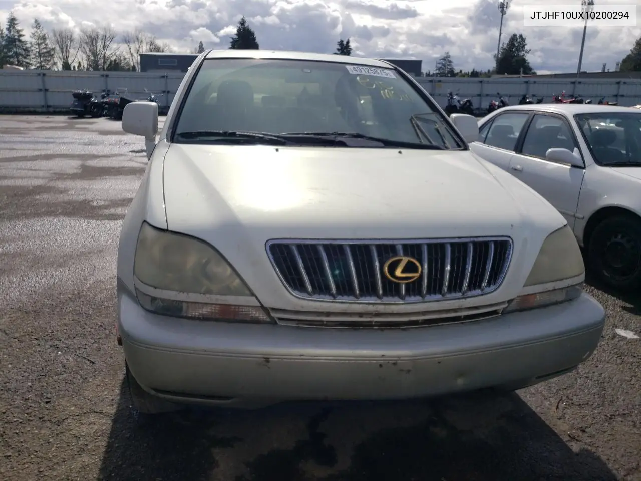 2001 Lexus Rx 300 VIN: JTJHF10UX10200294 Lot: 49125875