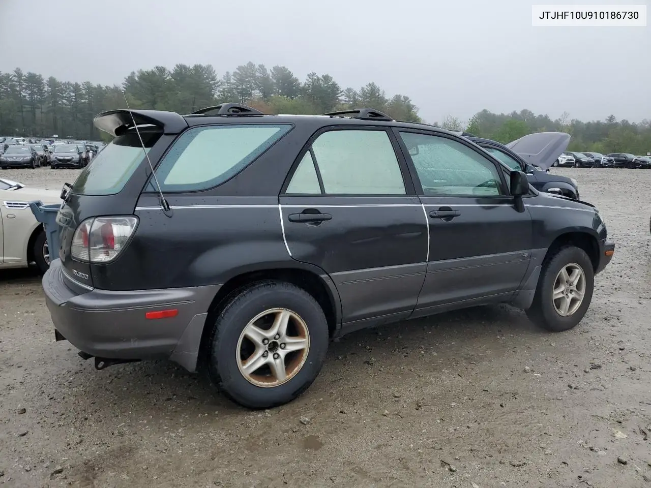 2001 Lexus Rx 300 VIN: JTJHF10U910186730 Lot: 55035505