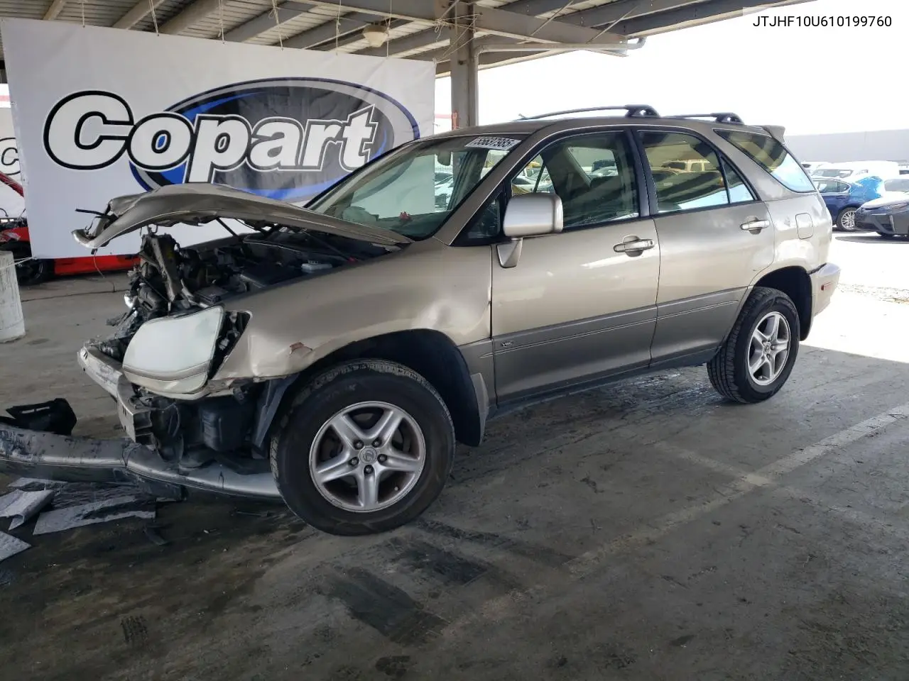 2001 Lexus Rx 300 VIN: JTJHF10U610199760 Lot: 55637985