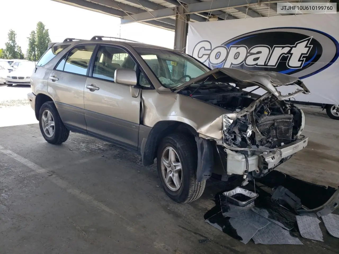 2001 Lexus Rx 300 VIN: JTJHF10U610199760 Lot: 55637985