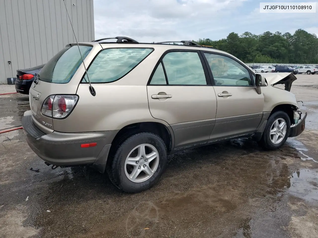 2001 Lexus Rx 300 VIN: JTJGF10U110108910 Lot: 58805255
