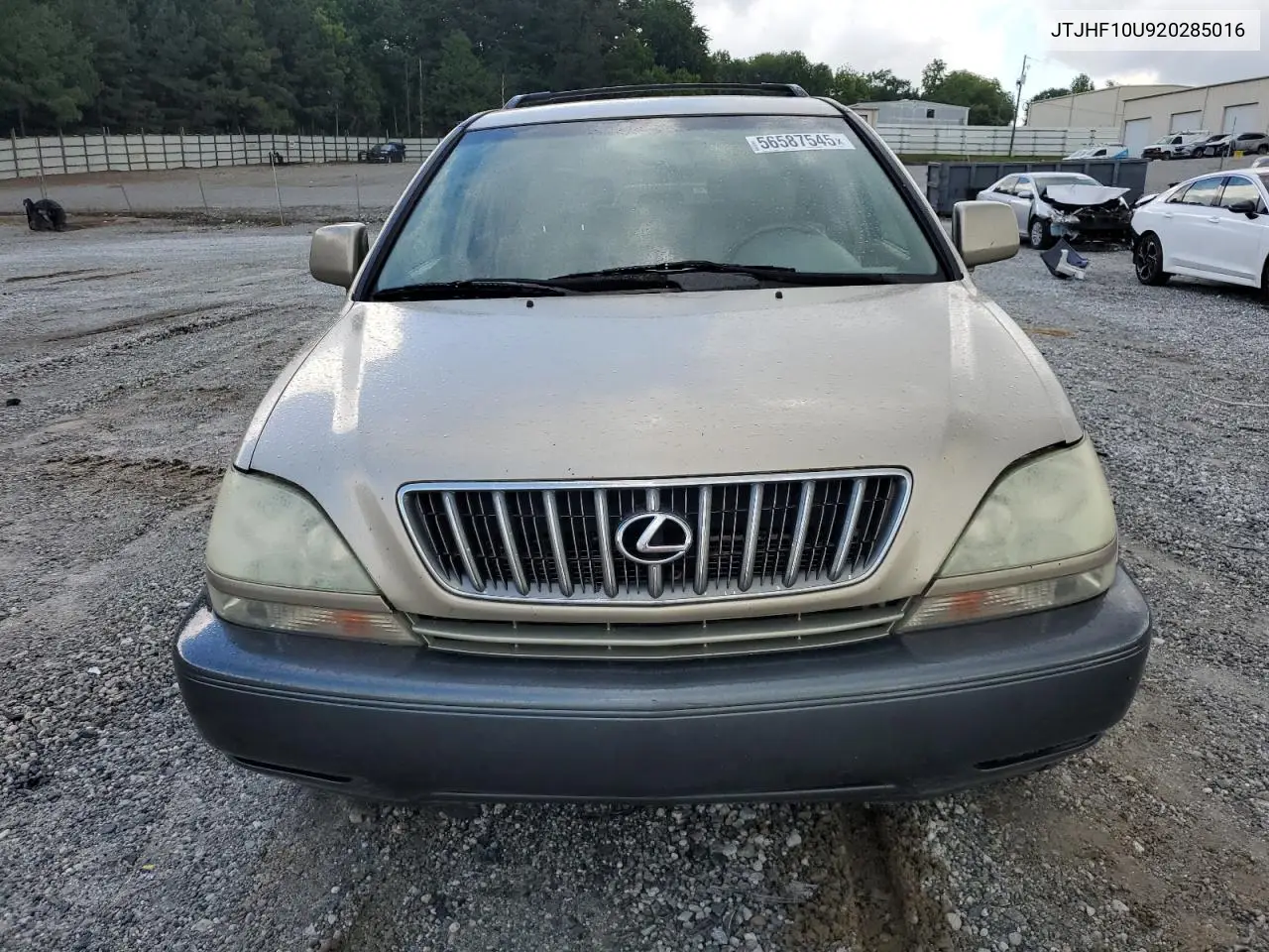2002 Lexus Rx 300 VIN: JTJHF10U920285016 Lot: 56587545
