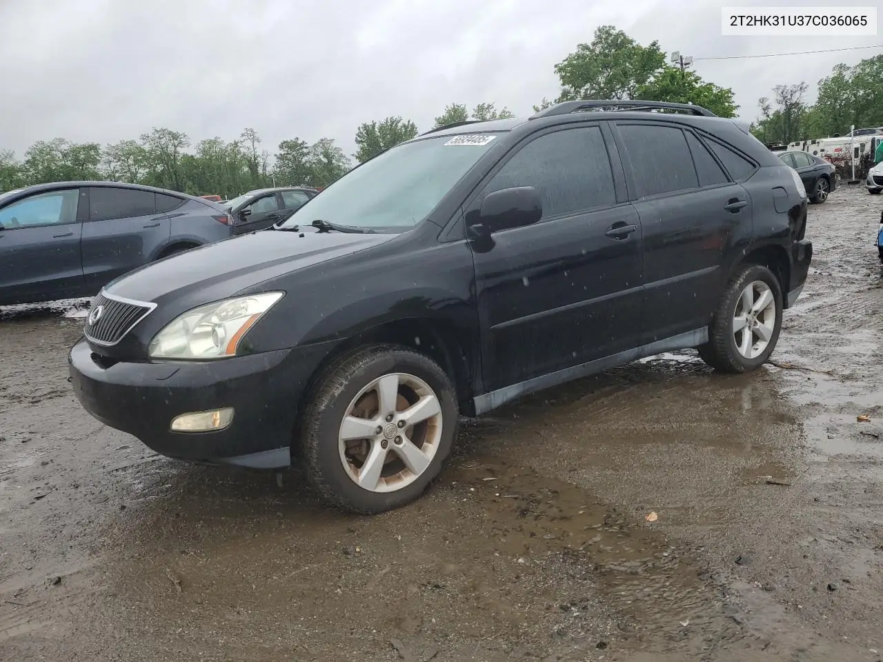 2007 Lexus Rx 350 VIN: 2T2HK31U37C036065 Lot: 56934485