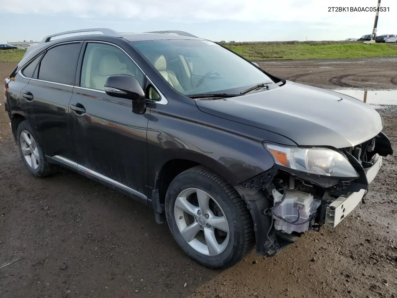 2010 Lexus Rx 350 VIN: 2T2BK1BA0AC054531 Lot: 56779485