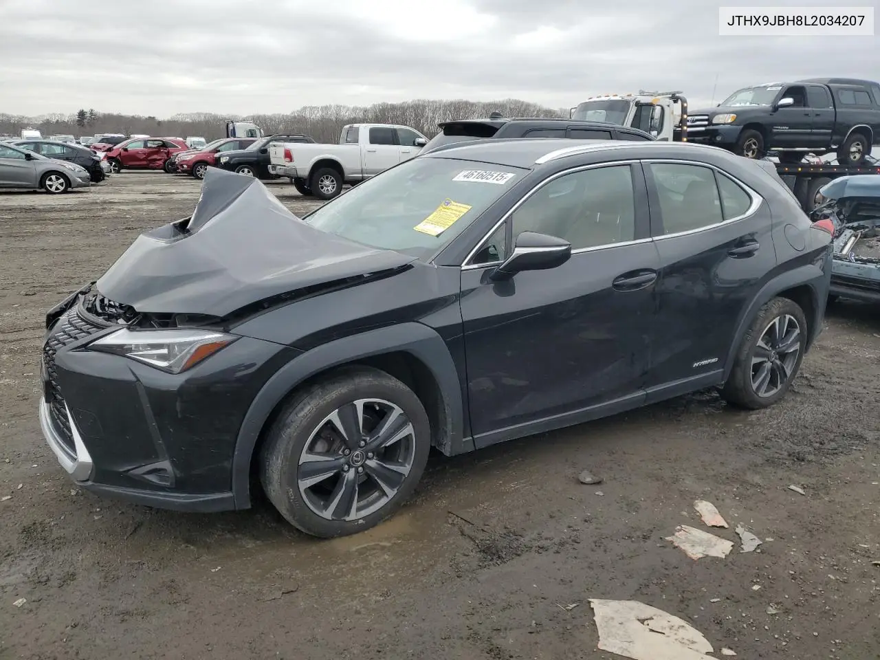 2020 Lexus Ux 250H VIN: JTHX9JBH8L2034207 Lot: 46160515