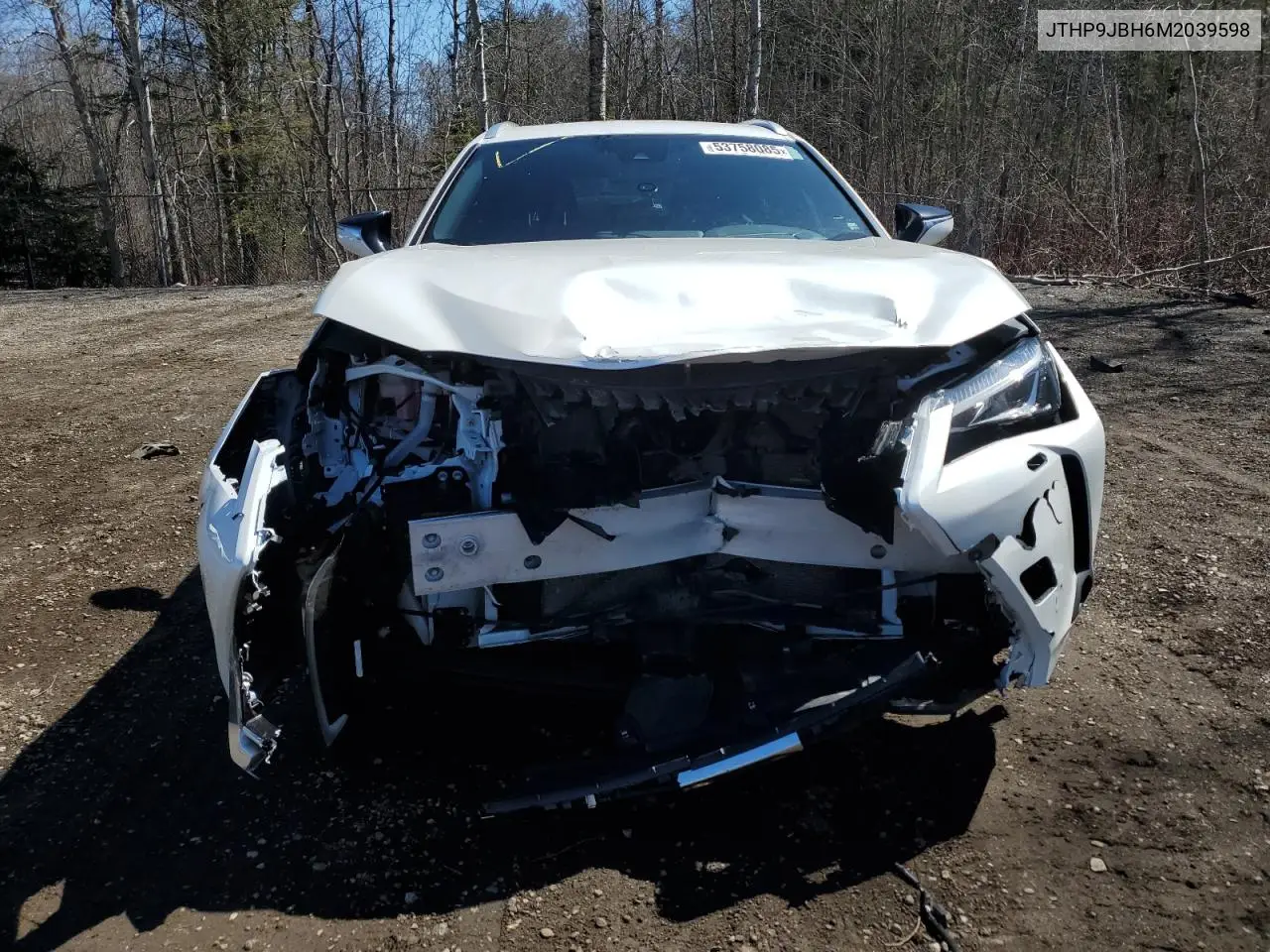 2021 Lexus Ux 250H VIN: JTHP9JBH6M2039598 Lot: 53758085