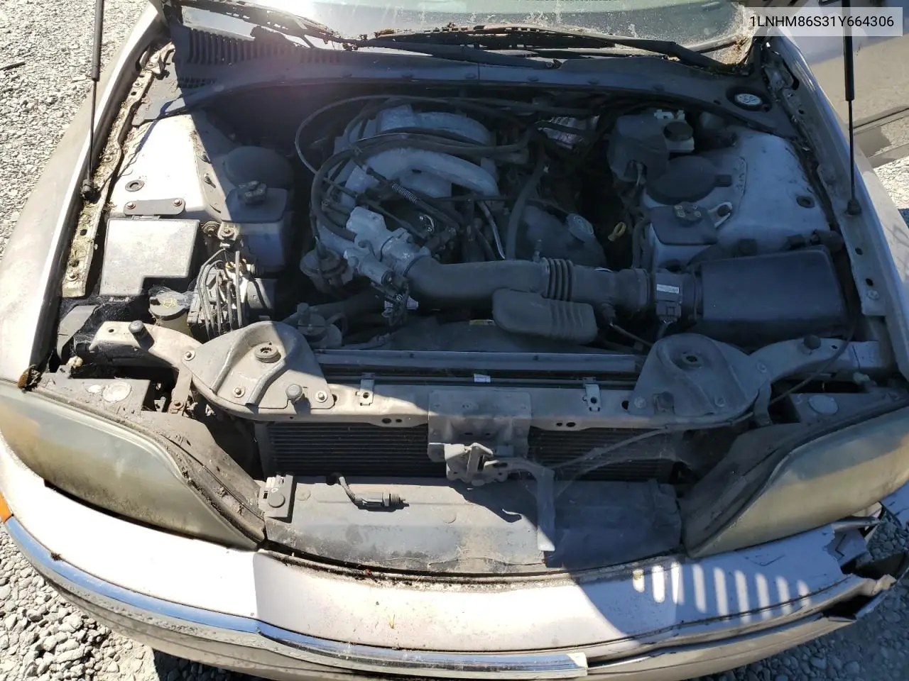 2001 Lincoln Ls VIN: 1LNHM86S31Y664306 Lot: 60249195