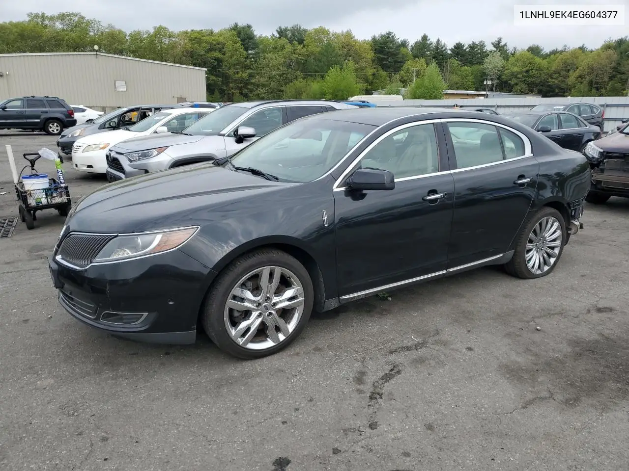 2014 Lincoln Mks VIN: 1LNHL9EK4EG604377 Lot: 55962555