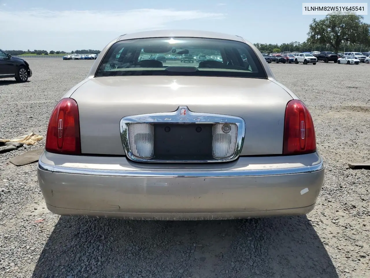 2001 Lincoln Town Car Signature VIN: 1LNHM82W51Y645541 Lot: 63058515