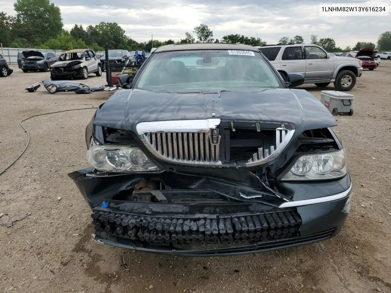 2003 Lincoln Town Car Signature VIN: 1LNHM82W13Y616234 Lot: 61365045