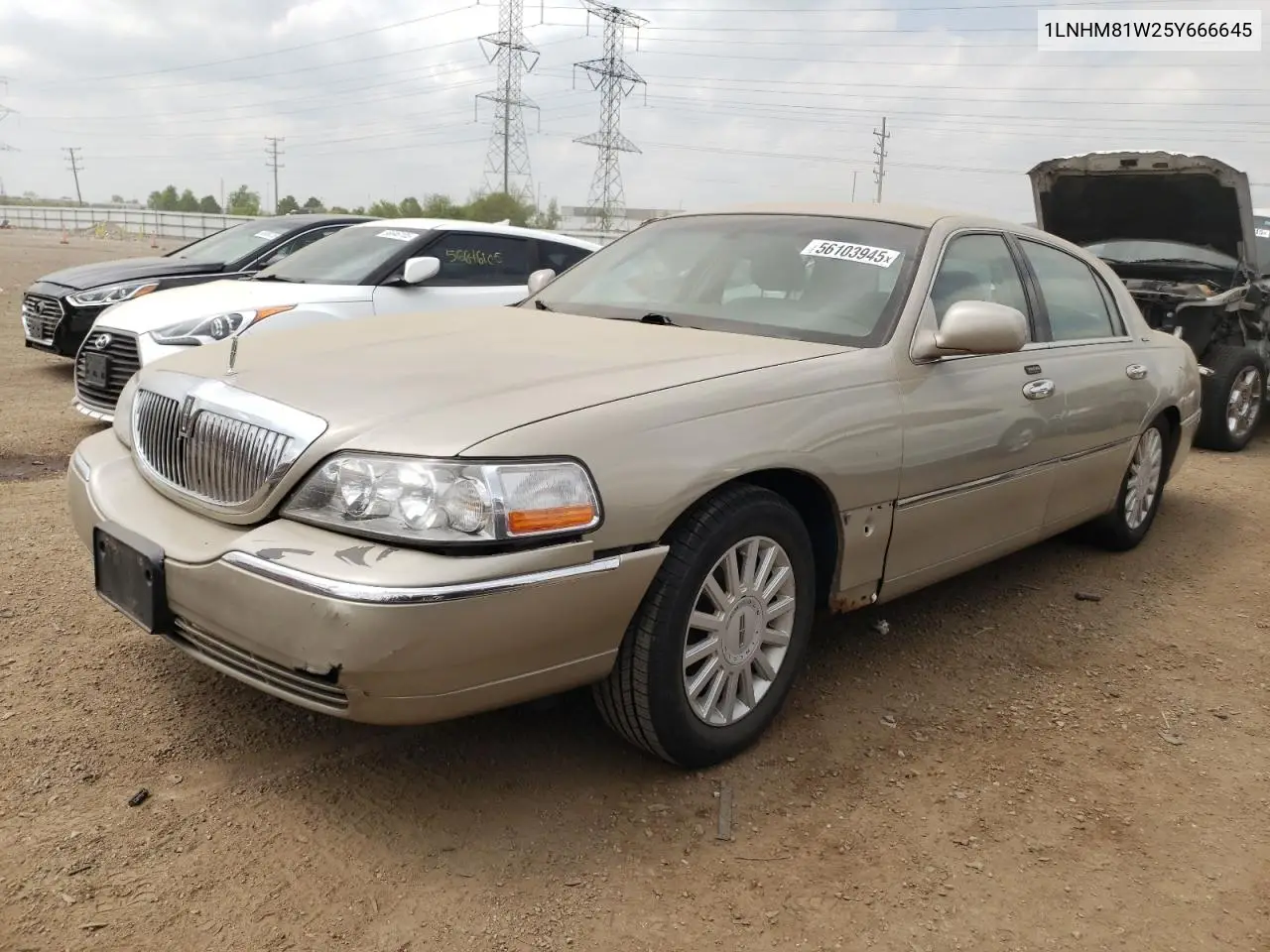 2005 Lincoln Town Car Signature VIN: 1LNHM81W25Y666645 Lot: 56103945