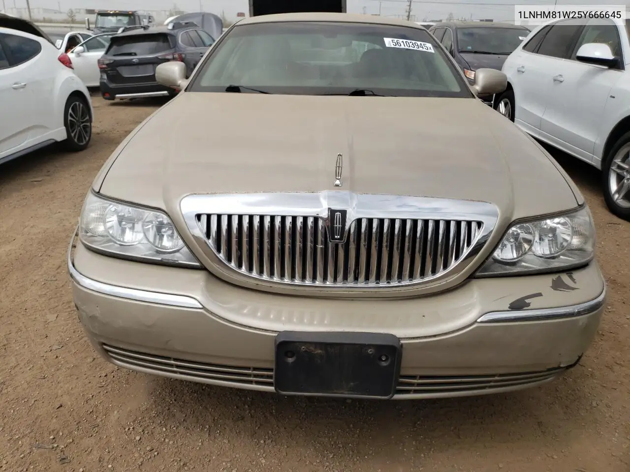 2005 Lincoln Town Car Signature VIN: 1LNHM81W25Y666645 Lot: 56103945