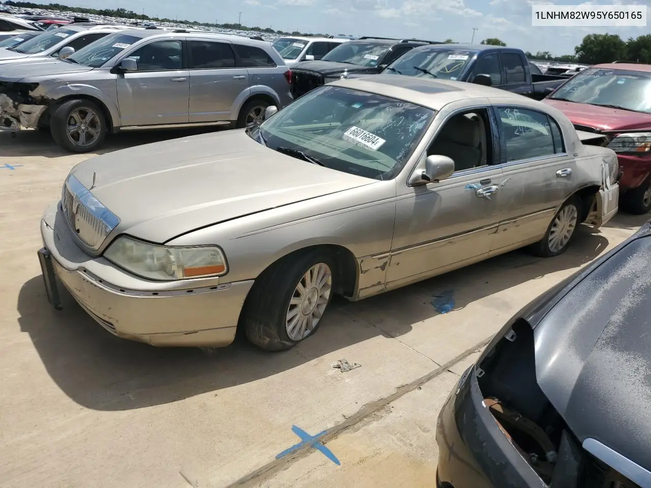 2005 Lincoln Town Car Signature Limited VIN: 1LNHM82W95Y650165 Lot: 66016604