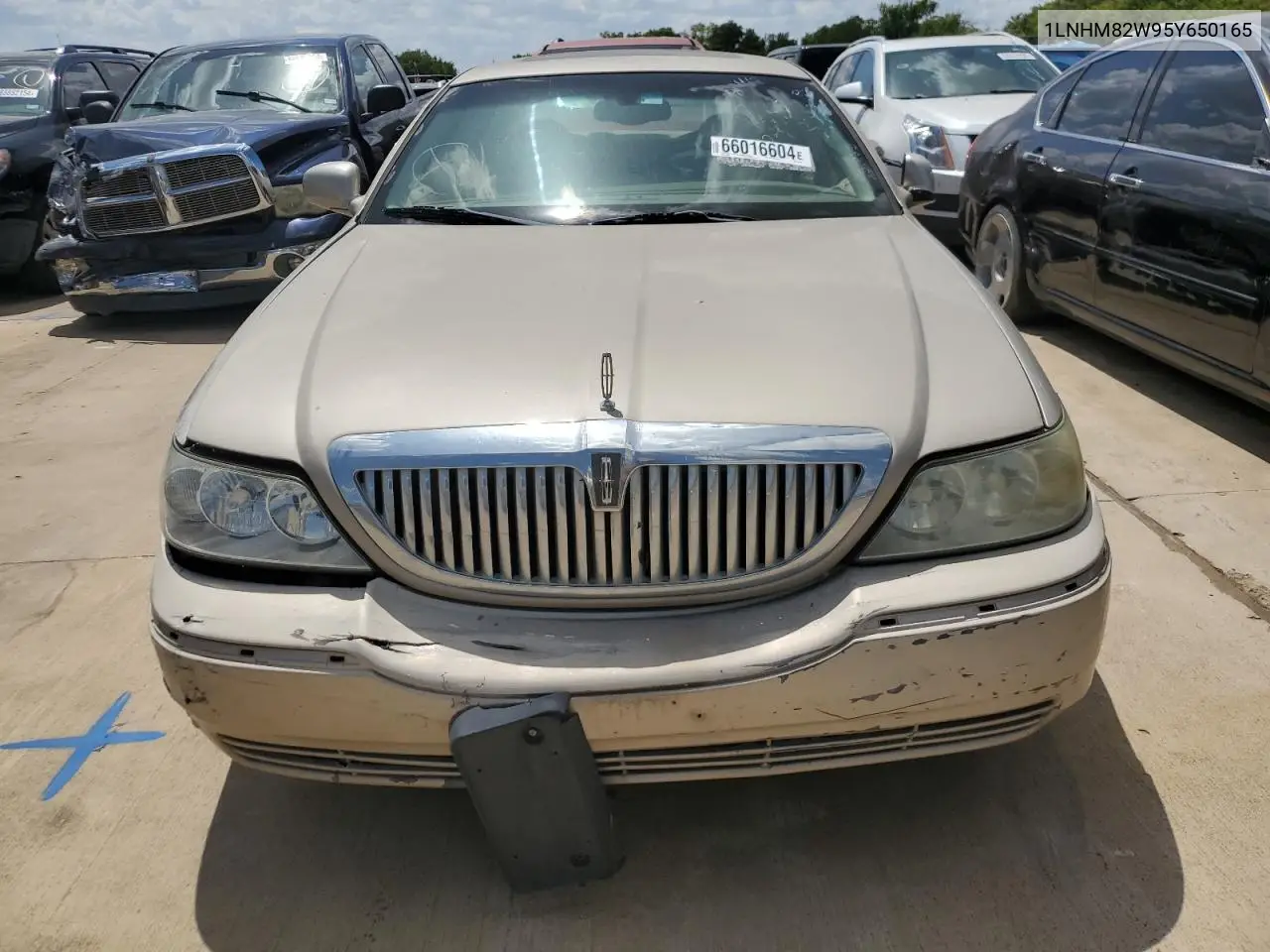 2005 Lincoln Town Car Signature Limited VIN: 1LNHM82W95Y650165 Lot: 66016604